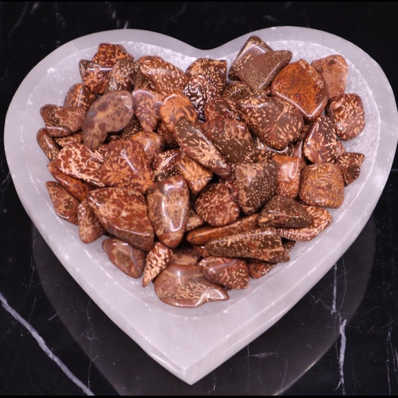 (2) Tumbled Starburst Jasper Stones - Picture 1 of 2